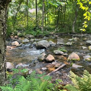 Meet your Posher, Meredith